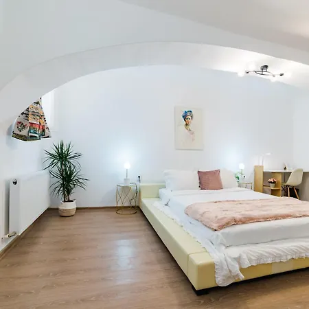 Sabin Private Parking Apartment Brasov
