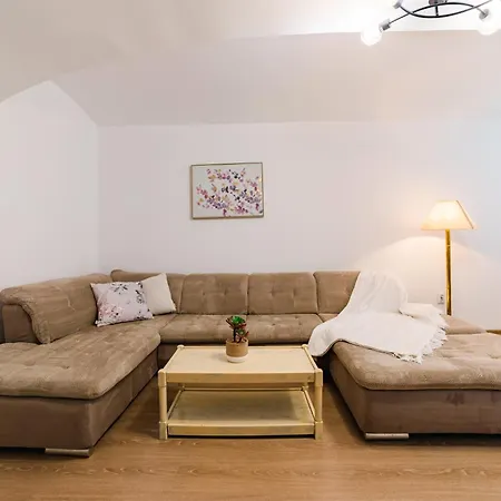 Sabin Private Parking Apartment Brasov