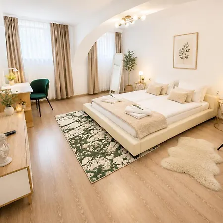 Apartmán Sabin Private Parking Brašov