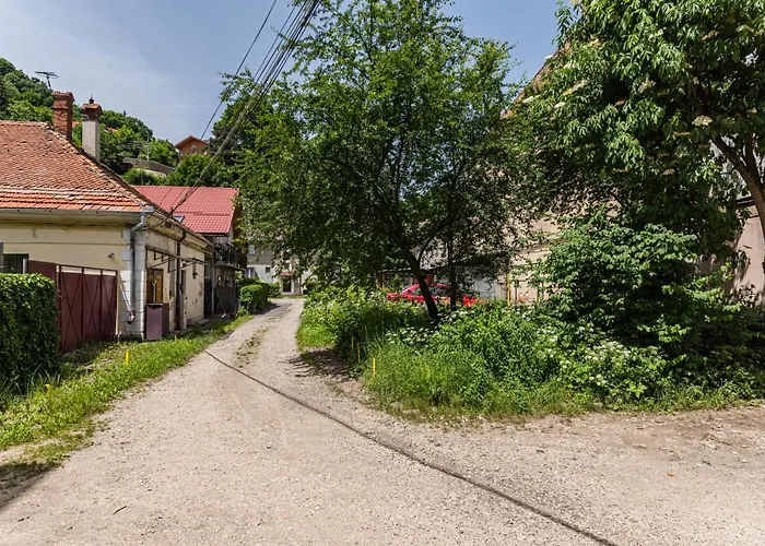 Sabin Private Parking Апартаменты Брашов