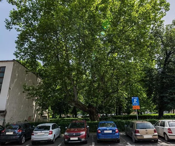 Апартаменты Sabin Private Parking Брашов