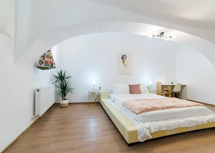 Sabin Private Parking 아파트 브라쇼브