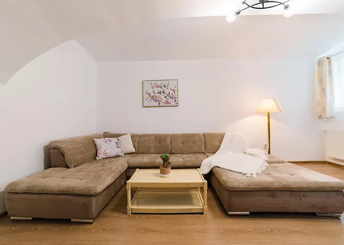 Sabin Private Parking Апартаменты Брашов