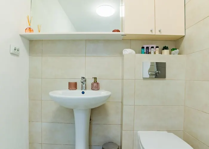 Sabin Private Parking * Брашов