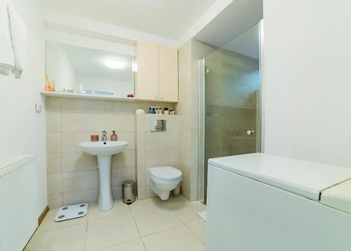 Sabin Private Parking 아파트 브라쇼브