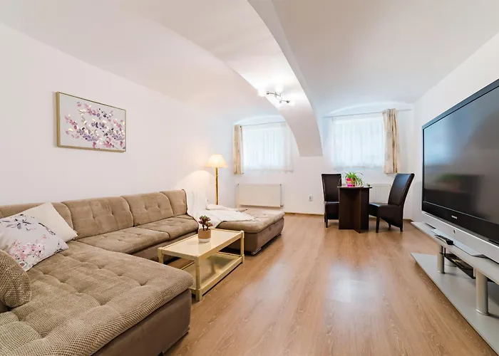 Sabin Private Parking 브라쇼브